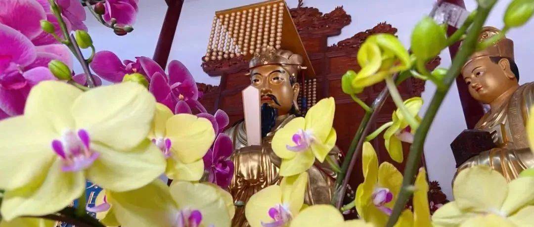 鲜花礼神｜上海白云观主殿神前鲜花接受供养！_信仰_花为_神明