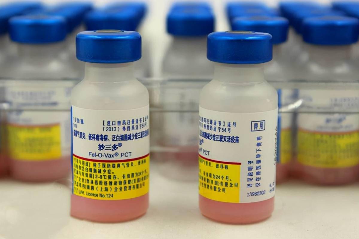 猫三联疫苗遭西方巨头垄断入华年赚22亿翻倍收割中国猫奴