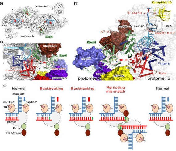 年度|2021年度中国科学十大进展发布