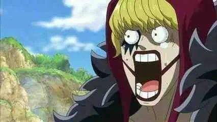 海贼王,表情,海贼王,表情|海贼王·那些夸张表情，每次都让人捧腹