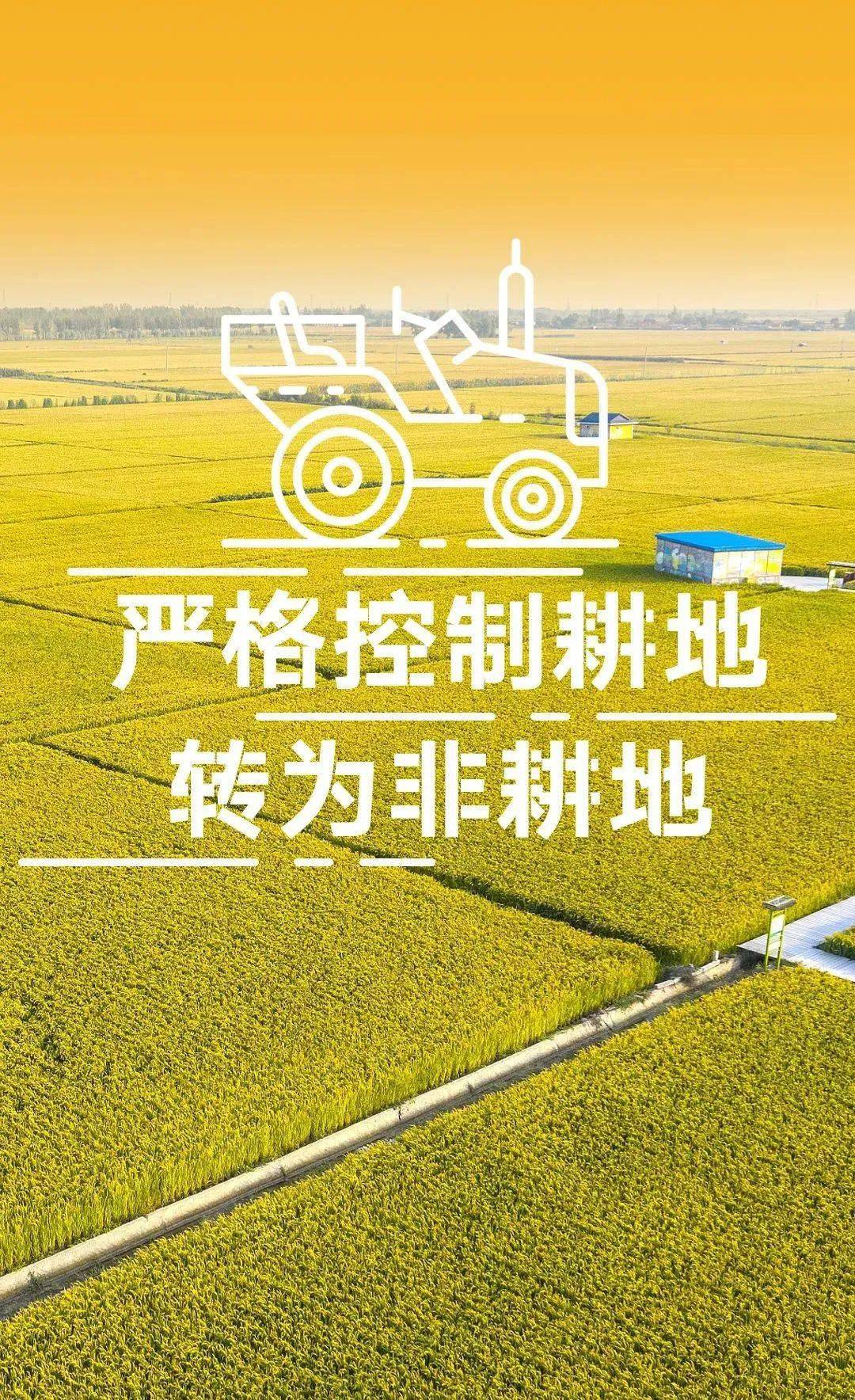 公益海报丨保障国家粮食安全 严格保护耕地_东安_三审_终审