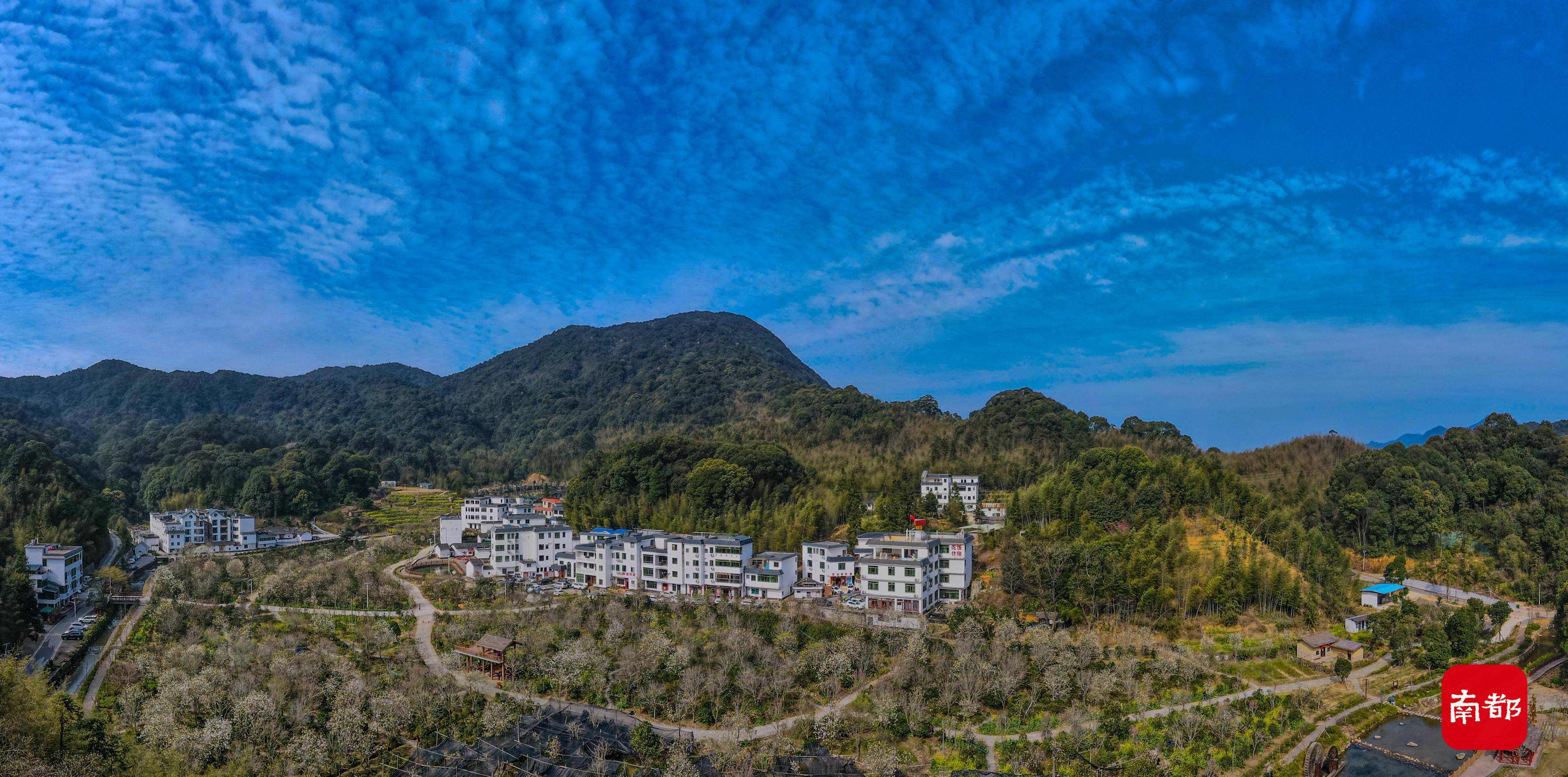 村落|南都拍客打卡广州海拔最高村落，山花烂漫