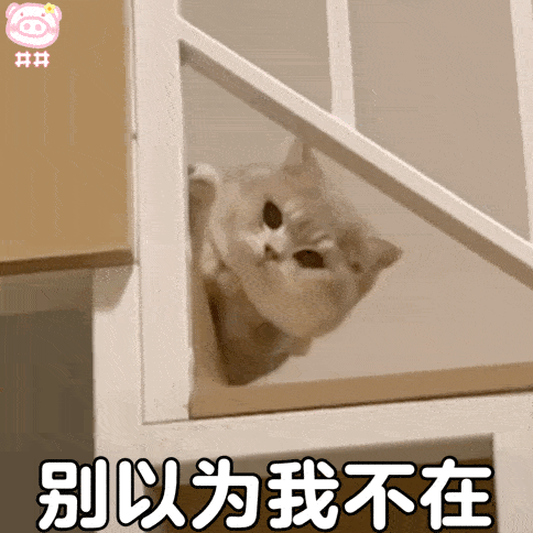 周一了,我好想逃却逃不掉丨第331期喵表情包_tou_星标_青年