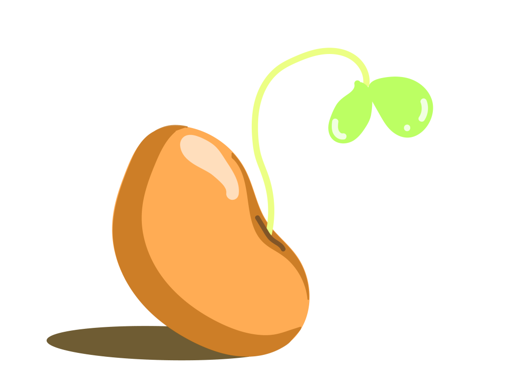 您可能经常会吃到哦!_诱导_骨质疏松症_本领