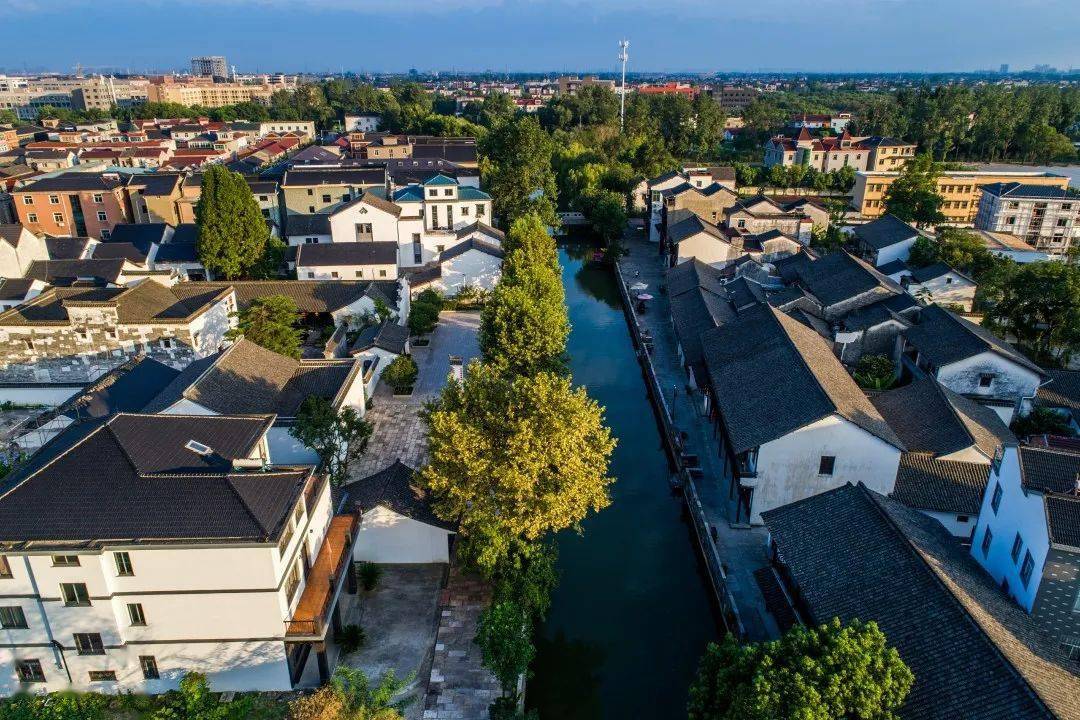 许村镇2022年2月党群工作盘点