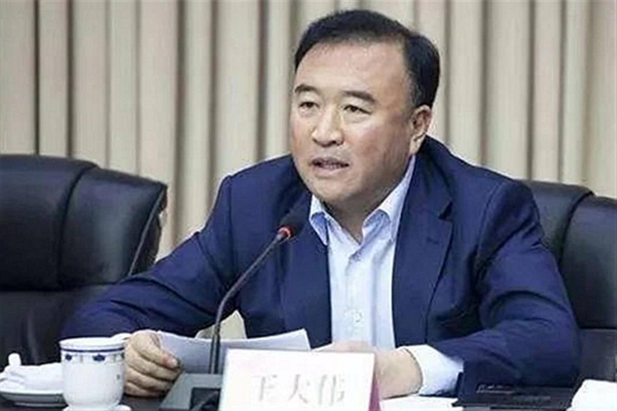 辽宁省副省长、省公安厅厅长王大伟被查_搜狐网