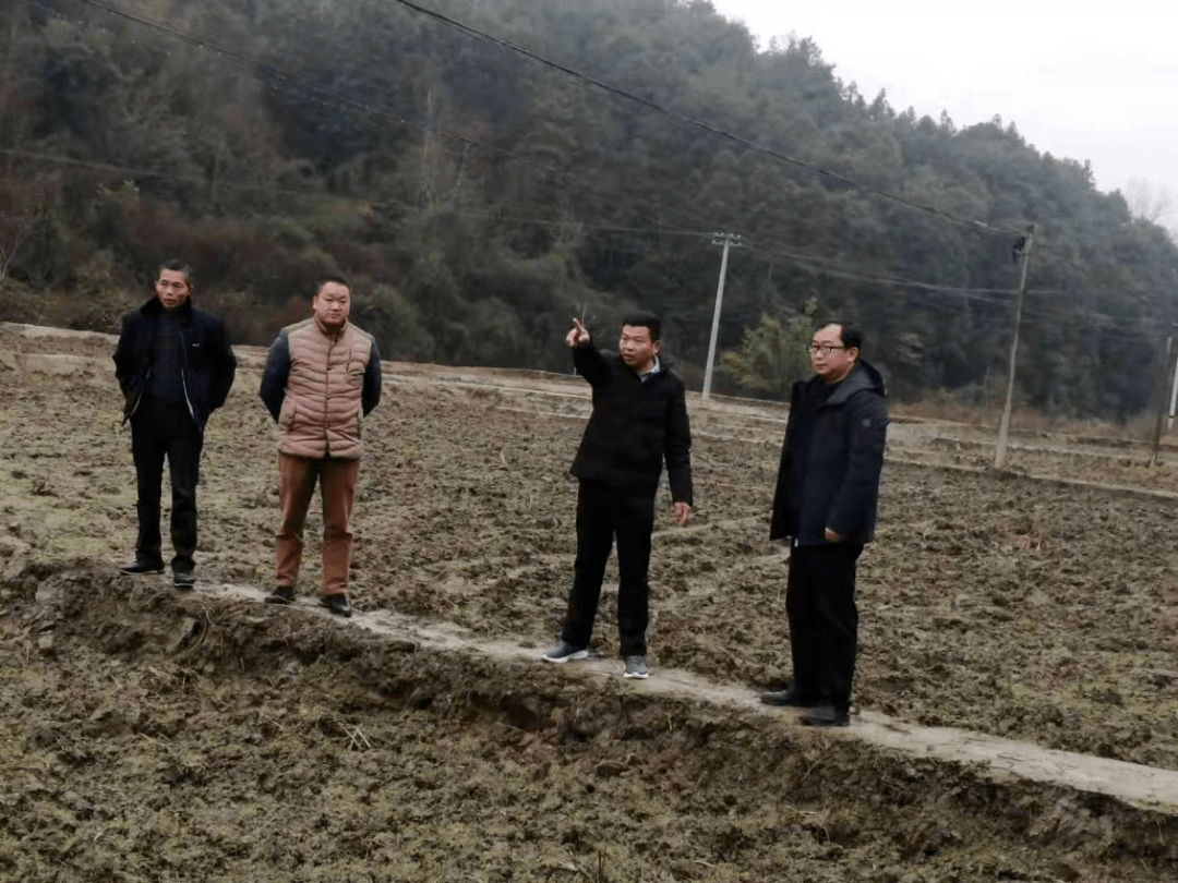 当前,长洛乡干部不遑暇食,对全乡耕地核存量,保质量,每天察看秧田翻耕