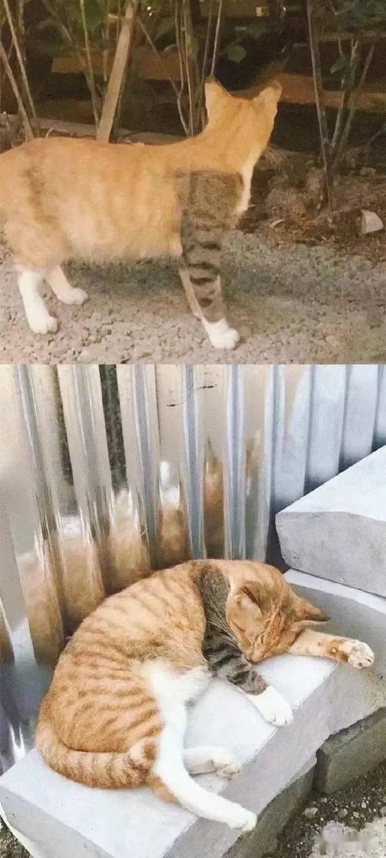 亚洲|华晨宇新恋情疑似曝光?!粉丝无语:这不是月薪3000该管的事…