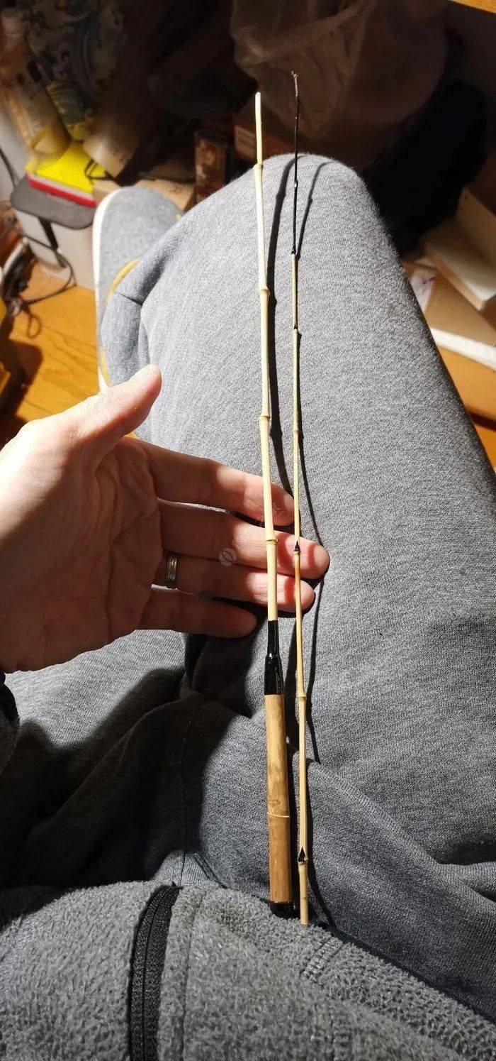 路边捡支金竹做支钓虾小杆