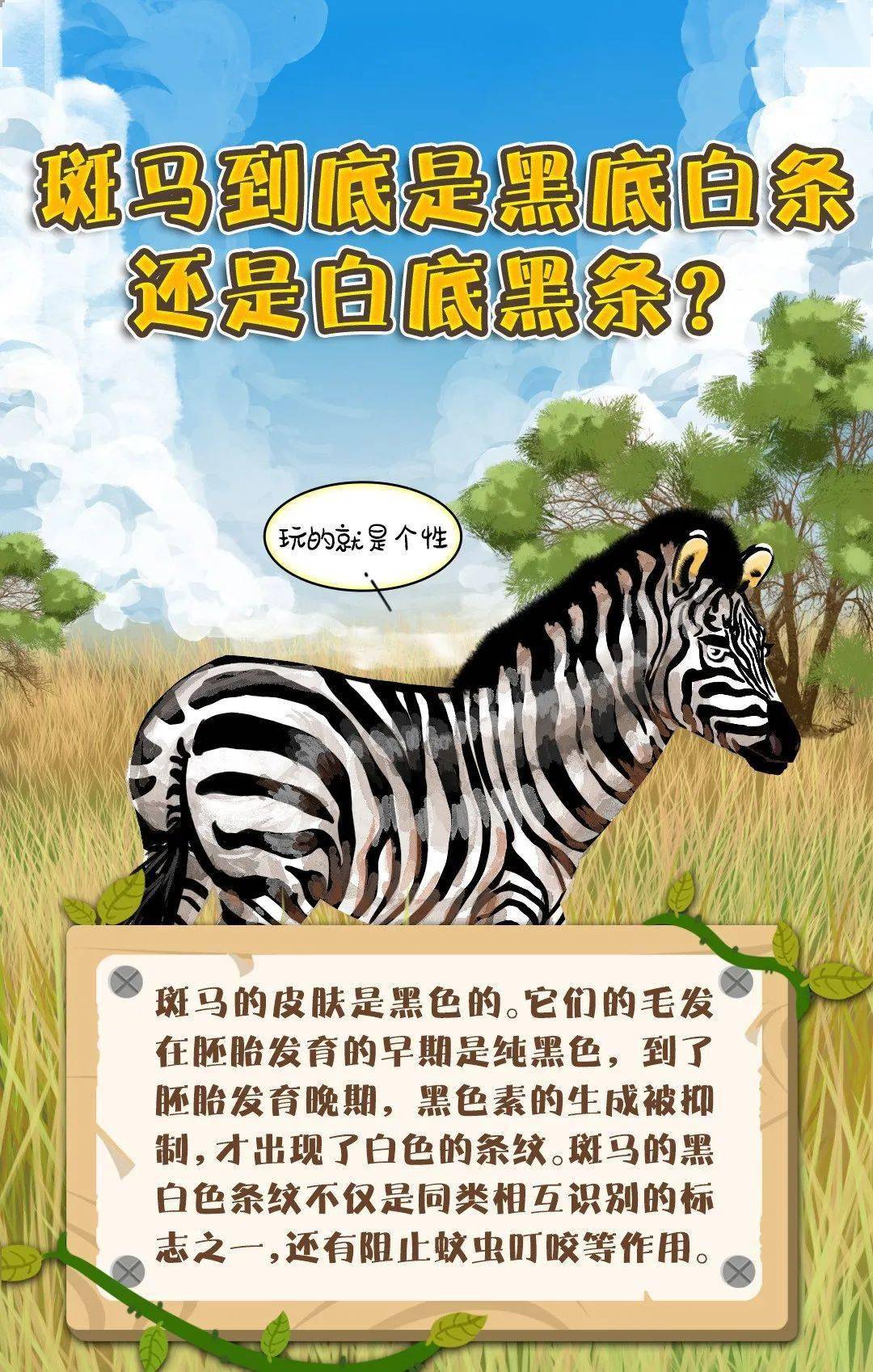你不知道的野生动植物"小秘密"!_答案_斑马_白条