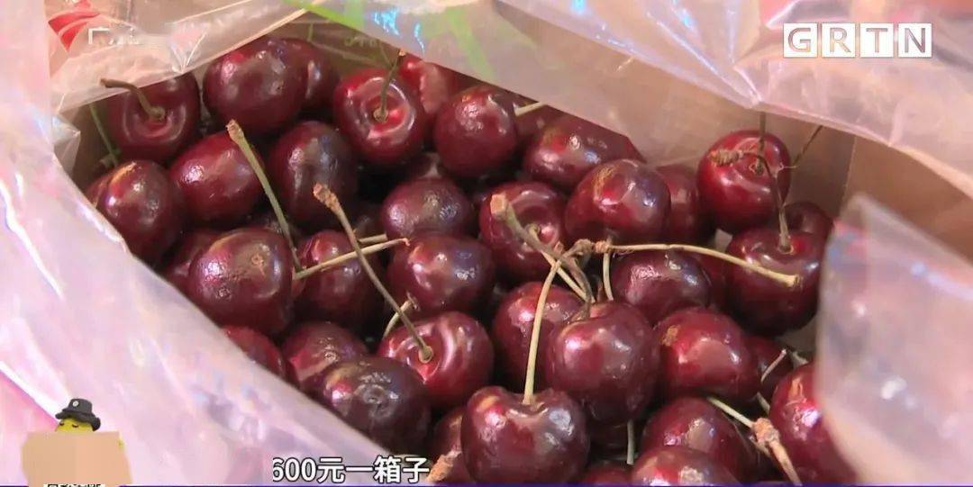 批发市场车厘子行情