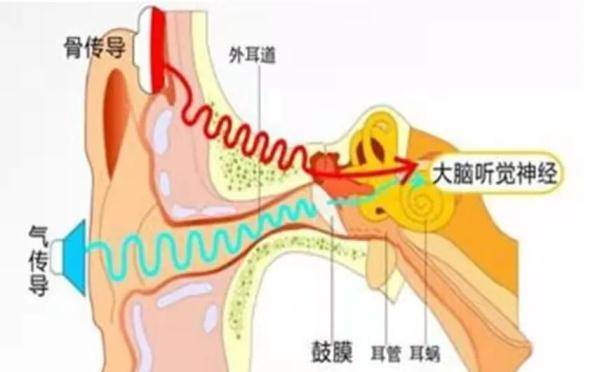 声音|冲上热搜！睡眠不足可能导致突发性耳聋，网友不淡定了