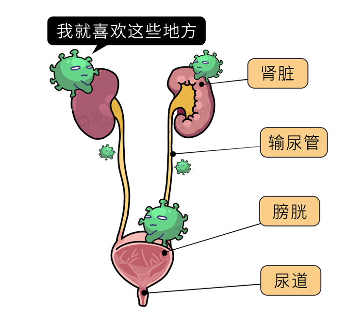 男女的3個不當行為可能讓尿道承受不起別不把感染當回事