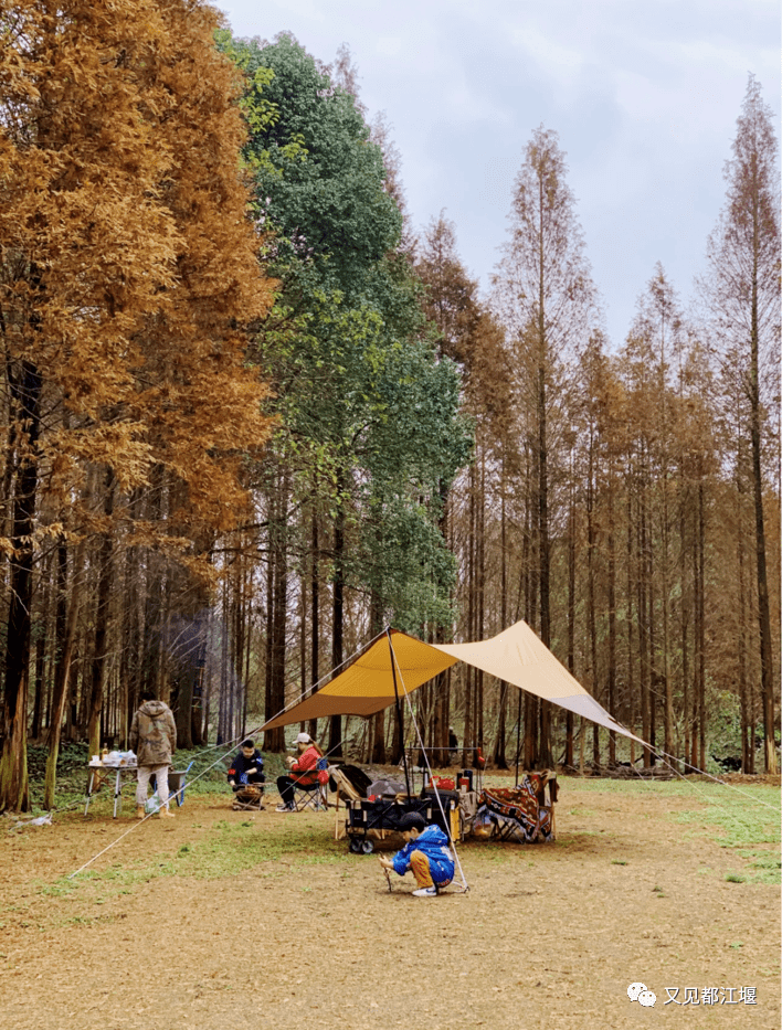 青城山|春日露营好去处！都江堰这4个地方等你来卧看星空、肆意撒欢……