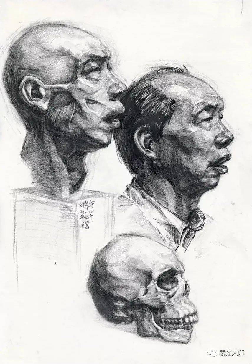 广州美术学院基础部头骨结构与人物肖像素描作品集一