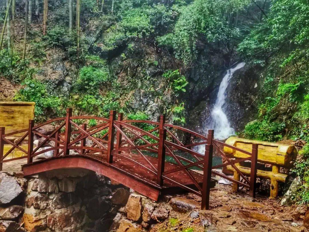 走古道逛茶山餘杭最美春日已上線