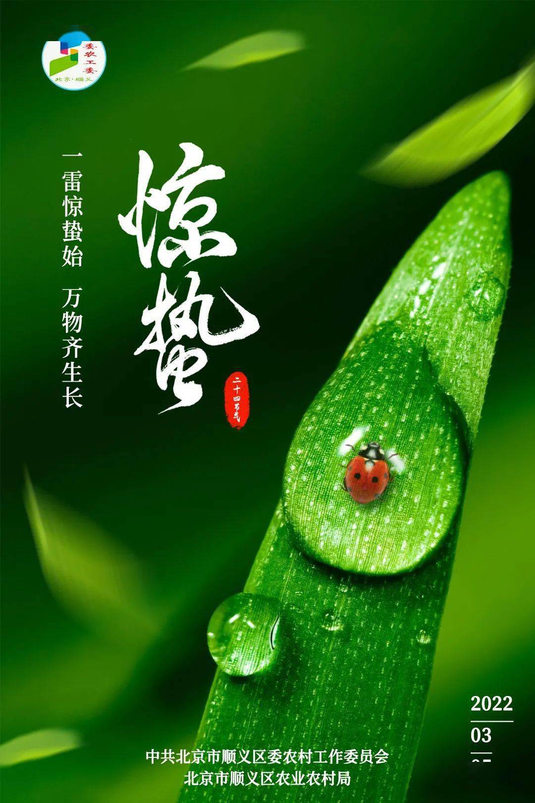 今日惊蛰惊蛰至春耕忙