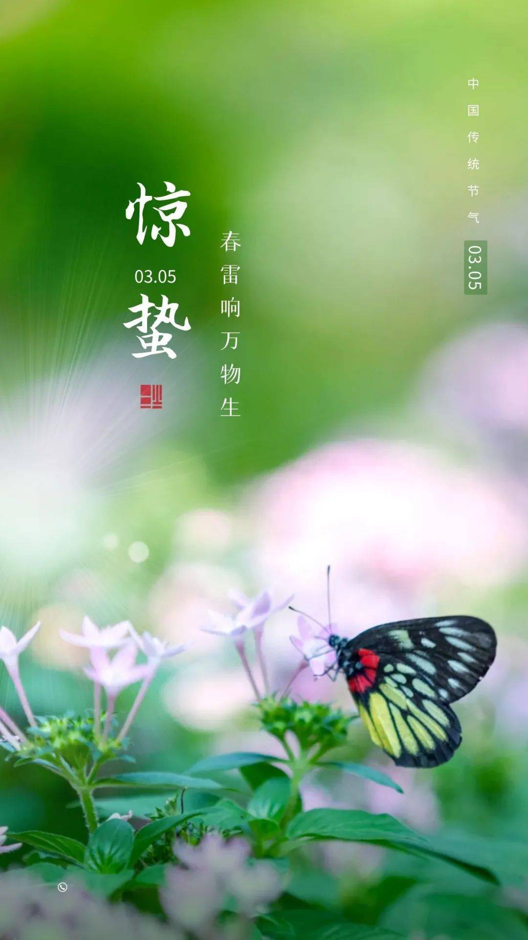 惊蛰之日万物醒 || 花红柳绿好风景_那头_卫院_枝头