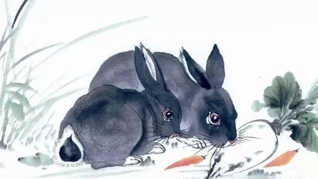 青出于蓝打一动物生肖说的是什么动物，标准代表解答