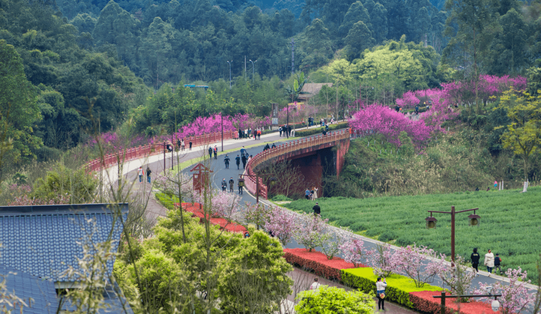 樂山人春天就該去綠心公園啊!快約起!_嘉州_城市_紅梅