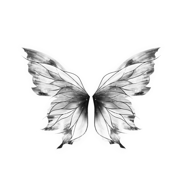 各种翅膀类素材ps素材蝴蝶翅膀素材