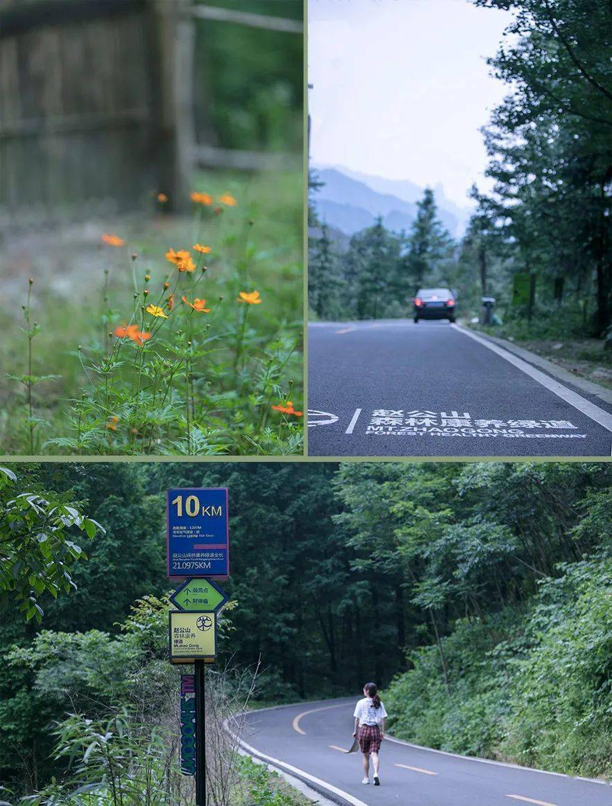 都江堰|赏避世桃源、游森林古道......都江堰这5处踏青小众秘境，带你开启一场治愈之旅~