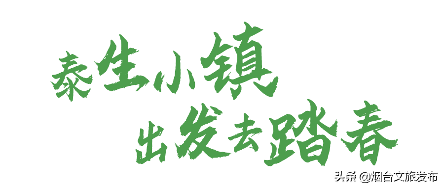 蓬莱|初春出游必去！千亩小镇，亲子田园游必须安排上!