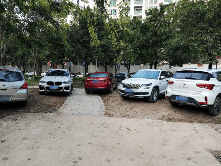 这批粤s因乱停放统统被曝光!_车辆_问题_处理