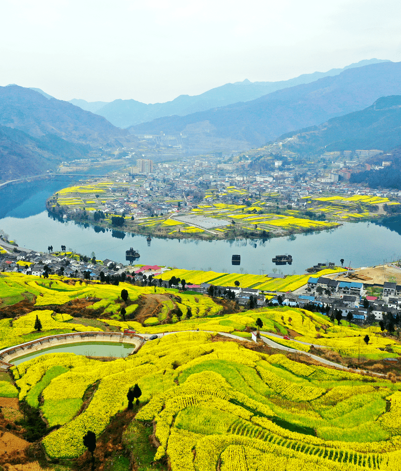 安逸四川花开广元刷屏广元油菜花上线这些花海美到爆