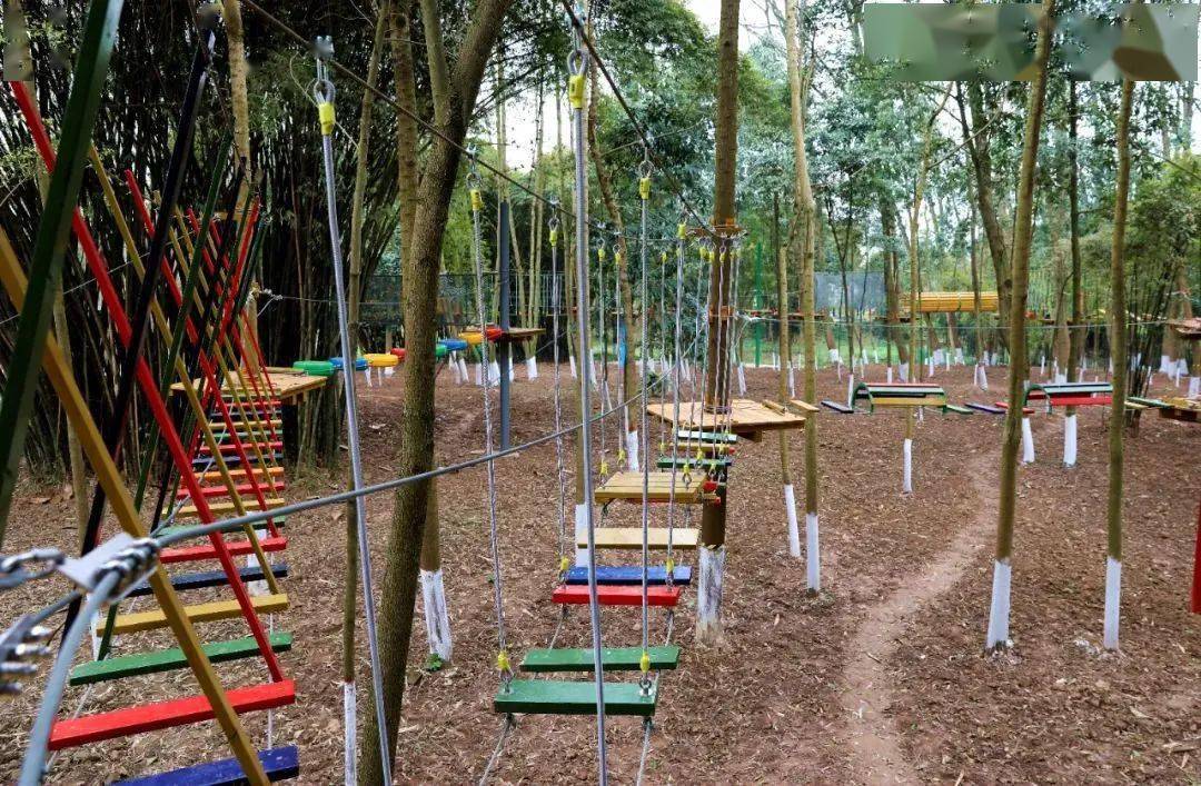 探秘月光宝荷新津上新农旅研学新场景