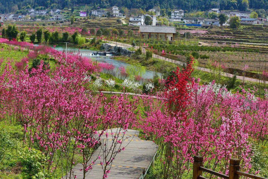 万花源景区