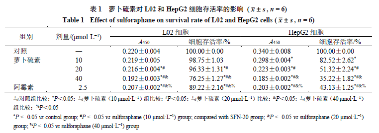 肺结核检查报告图片图片