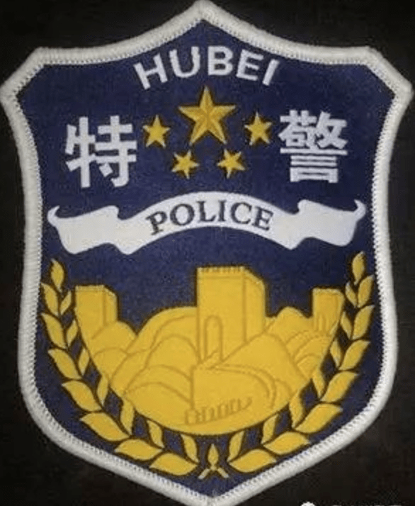 特警国旗臂章图片图片