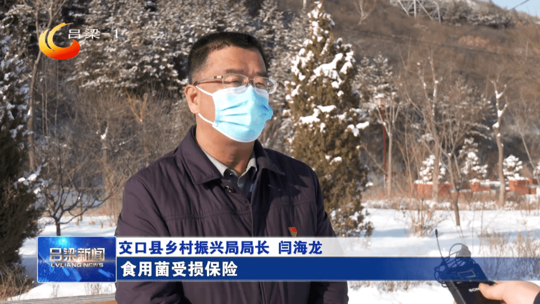 【同期】交口县乡村振兴局局长 闫海龙:食用菌受损保险理赔赔付总计