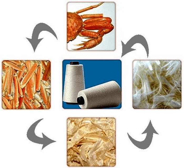 可生物降解材料的分类