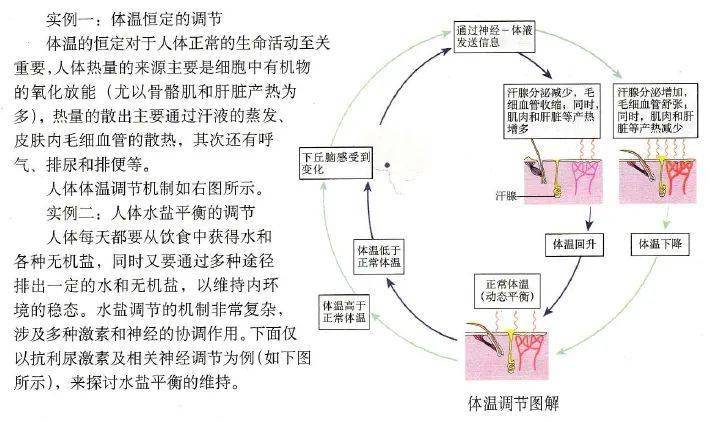 高中生物必修課本中的重要生化過程圖解,高清!_示意圖_模式圖_實驗