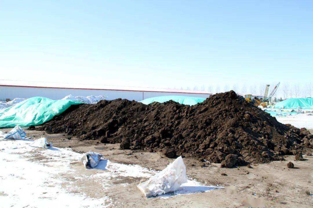 856 农业 苗床土 上晒场 抢农时提标准 作业 管理区 进行 856 农业 苗床土 上晒场 抢农时提标准 作业 管理区 进行