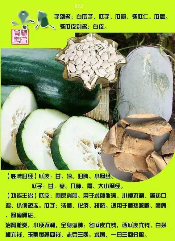 300种常见中草药图谱(含功能主治)_图片_内容_归经