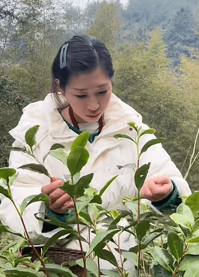 金苏红女性的高级美，徜徉在田园牧歌里