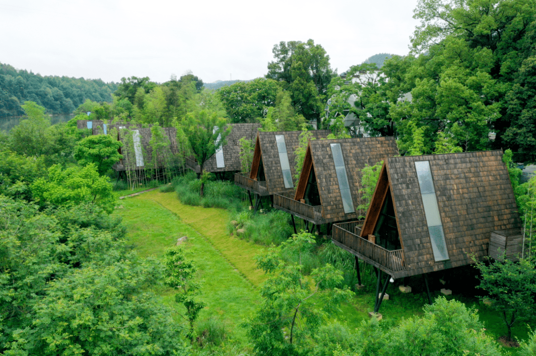 婺源新晋打卡地火遍亲子圈爆款秘境野趣童话树屋部落丨树蛙部落