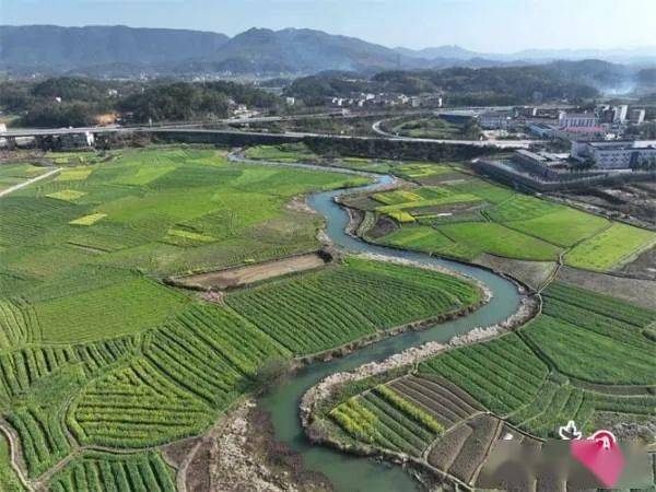 邵东杨桥6000亩油菜花竞相盛开