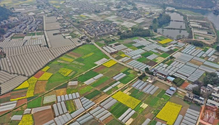 成都双流:产村相融焕生机 春意盎然新村美_永安镇_新居_产业