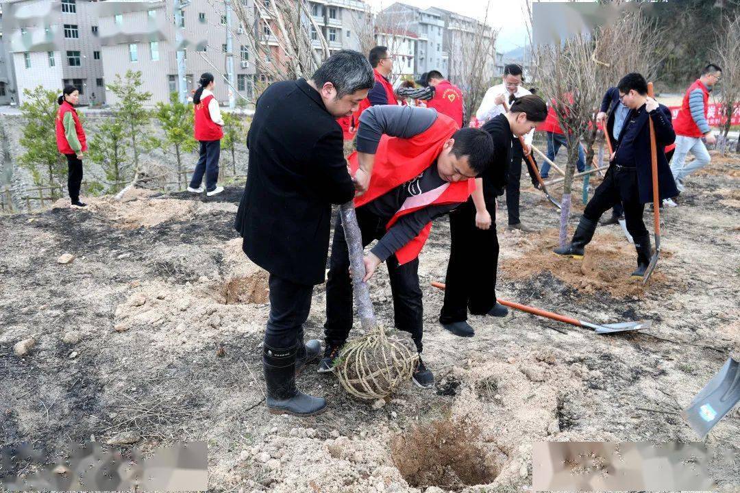 大溪:开展我为亚运种棵树植树活动