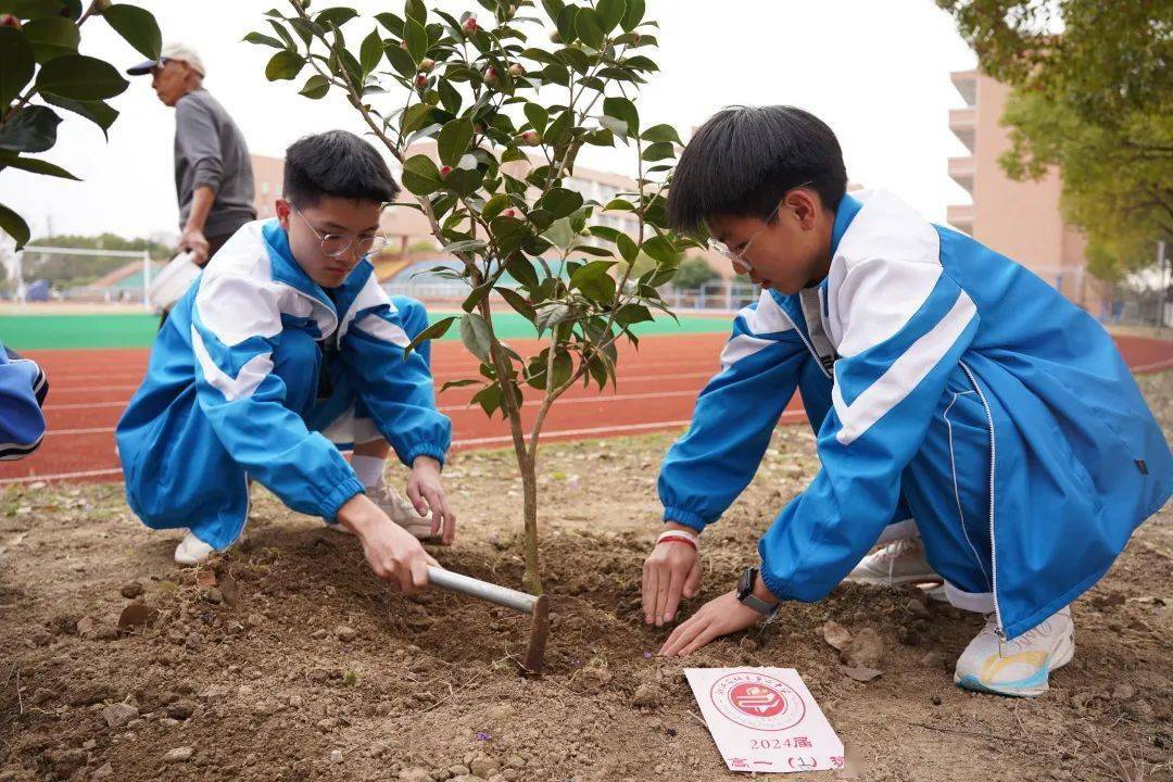 植树节丨二中学子和春天一起种树_树木_校园_沈盛斌