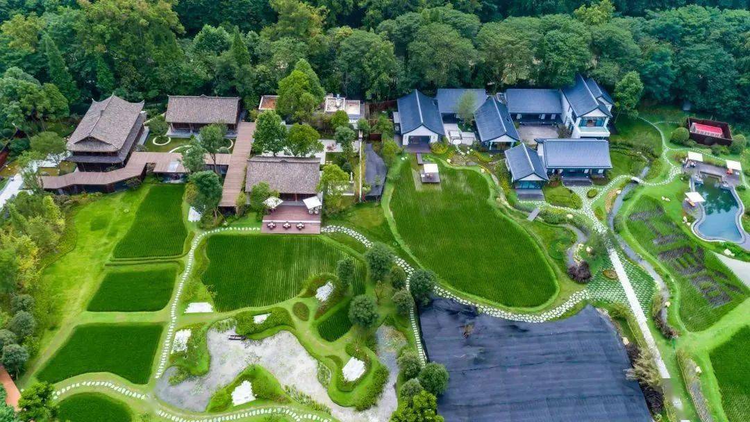5间稻田民宿,百亩造景花园,依田桃源精品民宿的"原生态"经营!