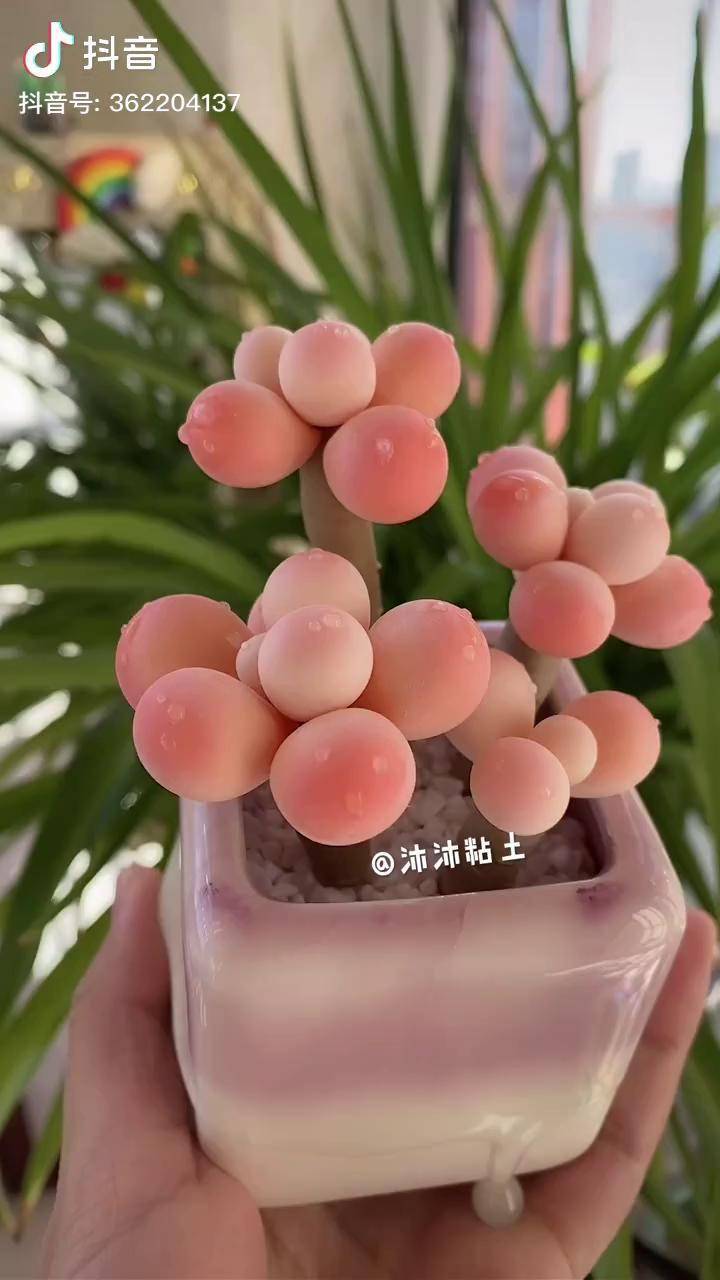 奶酪多肉 粘土多肉 手作 少女心