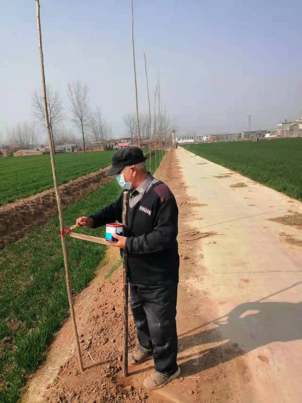平舆县阳城镇:多措并举掀起植树热潮_绿化_技术_积极性
