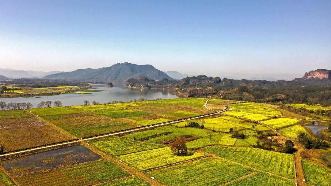 【江西是个好地方】打卡新滩乡油菜花海_钟晨_铅山县_丁铭华