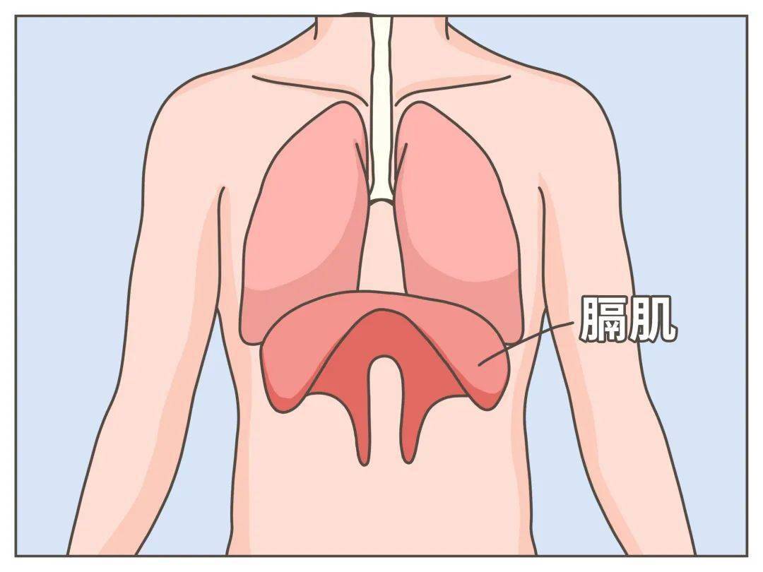 胸壁肌肉痉挛图片