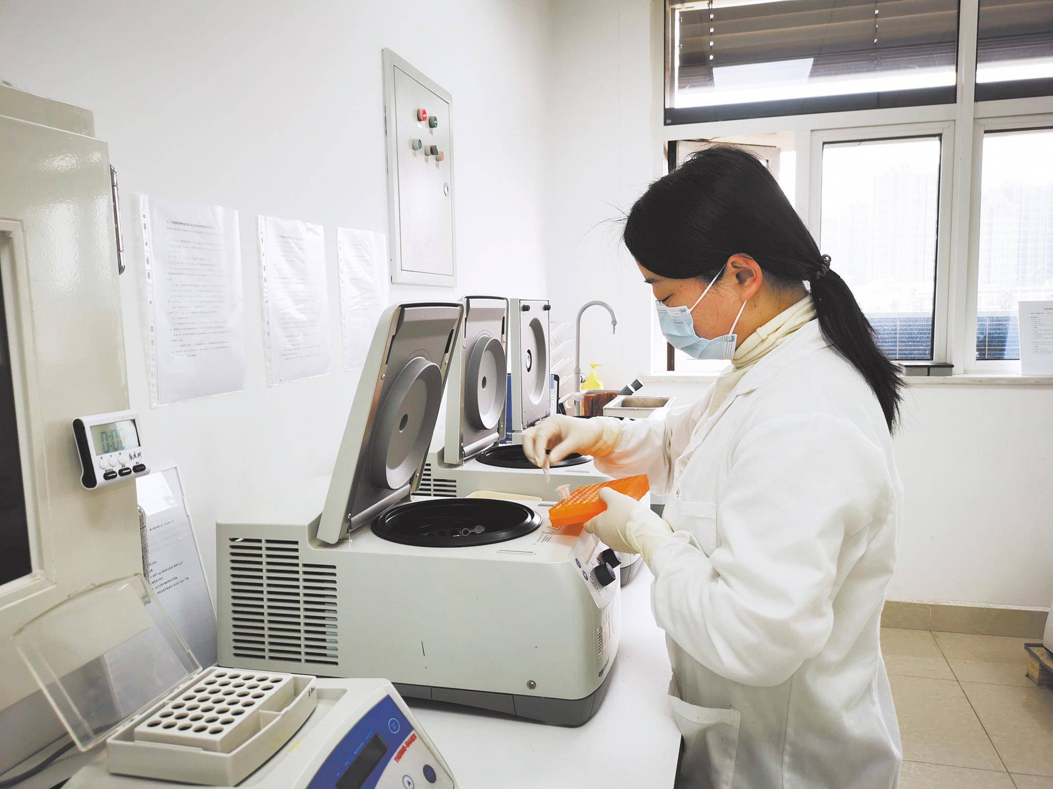 标记|为种子办“身份证” 让“仿种子”无处遁形